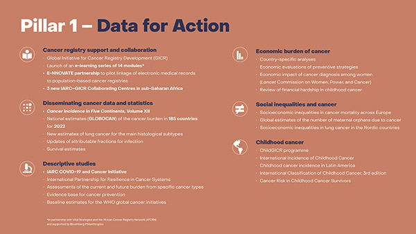 Pillar 1 – Data for Action
