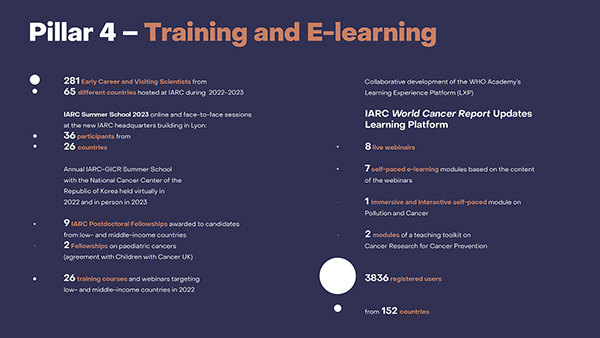Pillar 4 – Training and E-learning